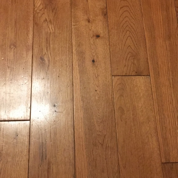 Meet your Posher, Kevin - Picture 1 of 1